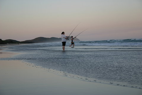 Cape Byron Marine Park - Lismore Accommodation 2