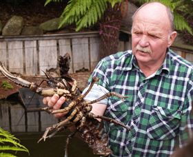 Lobster Ponds - Lismore Accommodation 0