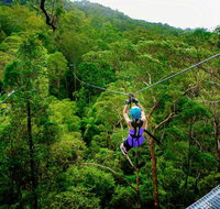 Canyon Flyer - Lismore Accommodation