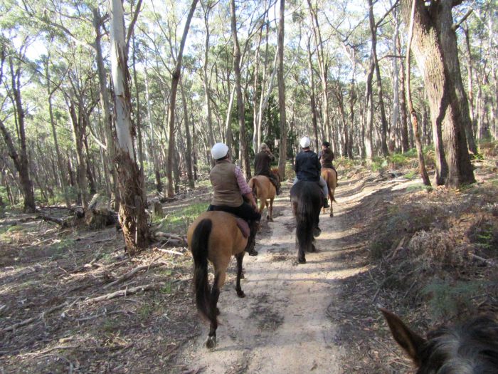 Spring Hill VIC Lismore Accommodation