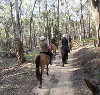 Silver Brumby Trails - Lismore Accommodation