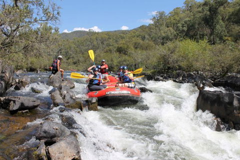 Rafting Australia - Lismore Accommodation 2