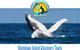 Lighthouse Charters Narooma - thumb 0