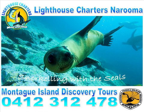 Lighthouse Charters Narooma - Lismore Accommodation 13