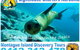 Lighthouse Charters Narooma - thumb 14
