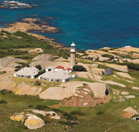 Naturewise Montague Island Nature Escape - Lismore Accommodation