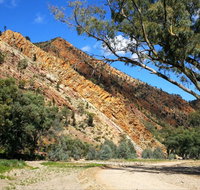 Aussie Heritage Tours - Lismore Accommodation