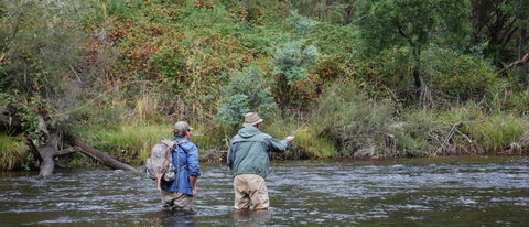 River Escapes - Lismore Accommodation 1