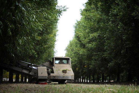 ODempseys Charters And Tours - Lismore Accommodation 1