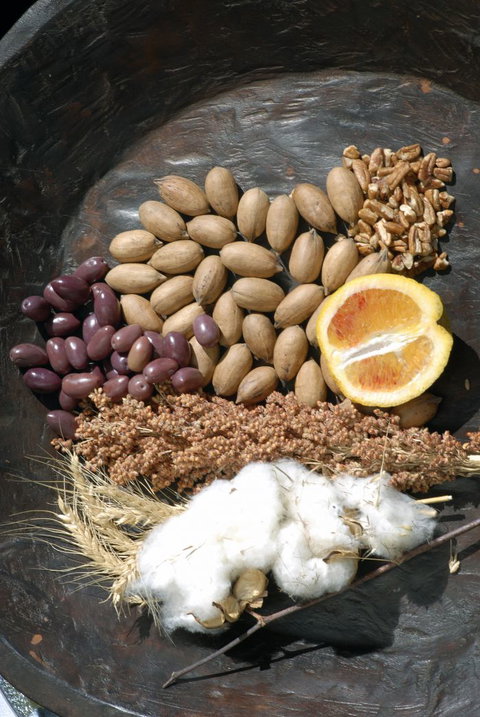 ODempseys Charters And Tours - Lismore Accommodation 2