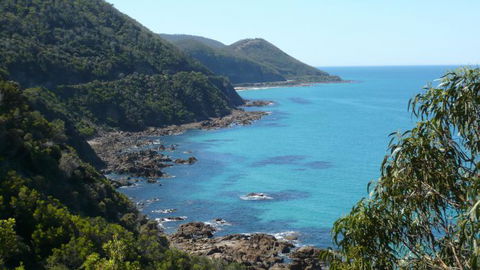 Australian Natural Treasures Touring - Lismore Accommodation 2