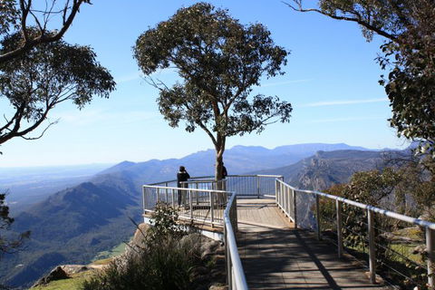 Australian Natural Treasures Touring - Lismore Accommodation 7
