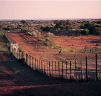 Tri State Safaris - Lismore Accommodation