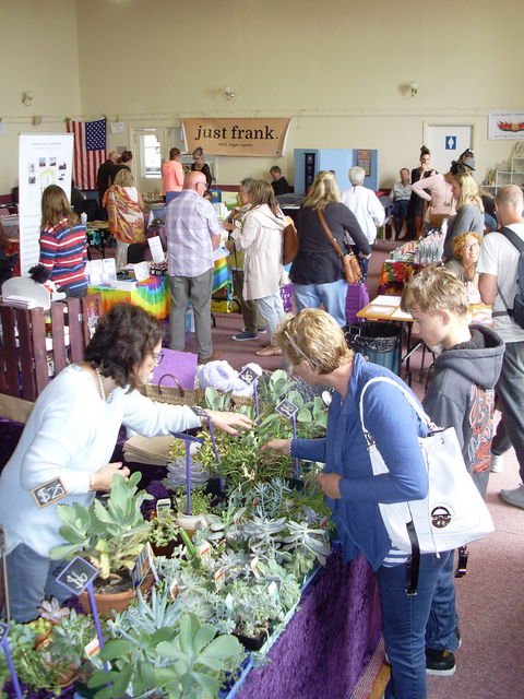 Health Harmony And Happiness Festival - Lismore Accommodation 0