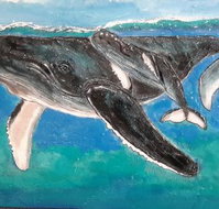 Kaz Art-Whitewash Gallery - Lismore Accommodation