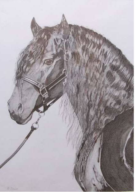 Great Lakes Art Society - Lismore Accommodation 0