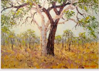 Peter Lawson Fine Art - Lismore Accommodation 1