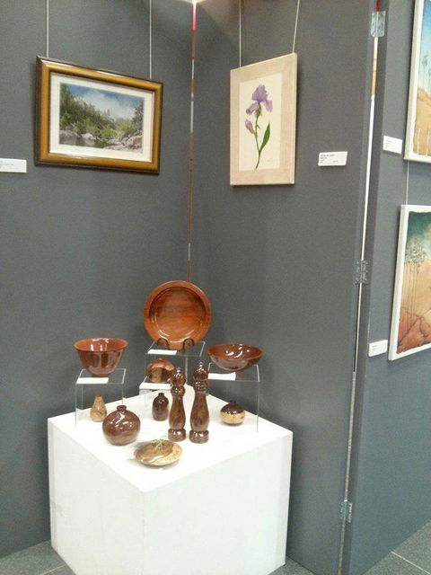 Townsville Art Society Inc - Lismore Accommodation 2