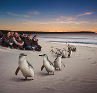 Down Under Thrills - Lismore Accommodation