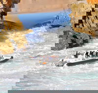 Horizontal Falls Half-Day Tour from Broome - Lismore Accommodation