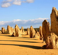 Pinnacles and Yanchep National Park Day Trip from Perth Including Lobster Shack Lunch and Sandboarding