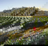 Margaret River Caves Wine and Cape Leeuwin Lighthouse Tour from Perth - Lismore Accommodation