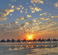 1 Hour Broome Sunset Camel Tour - Lismore Accommodation