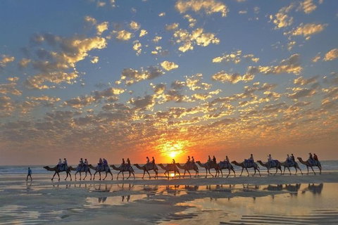 1 Hour Broome Sunset Camel Tour - Lismore Accommodation 0