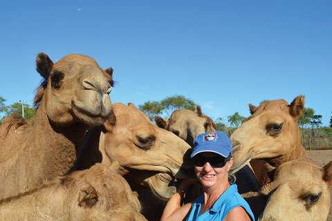 1 Hour Broome Sunset Camel Tour - Lismore Accommodation 8
