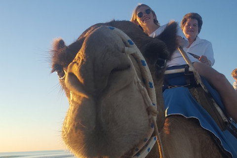 1 Hour Broome Sunset Camel Tour - Lismore Accommodation 2