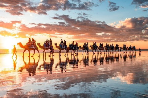 1 Hour Broome Sunset Camel Tour - Lismore Accommodation 9