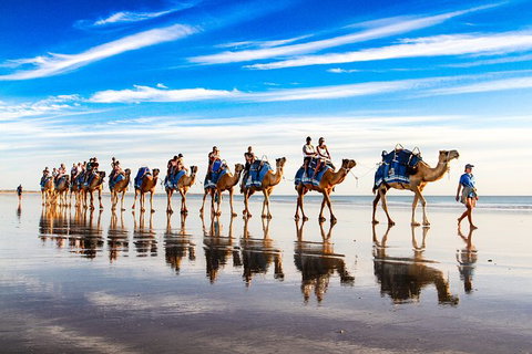 1 Hour Broome Sunset Camel Tour - Lismore Accommodation 6