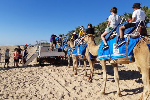 1 Hour Broome Sunset Camel Tour - Lismore Accommodation 3