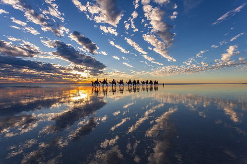 1 Hour Broome Sunset Camel Tour - Lismore Accommodation 5