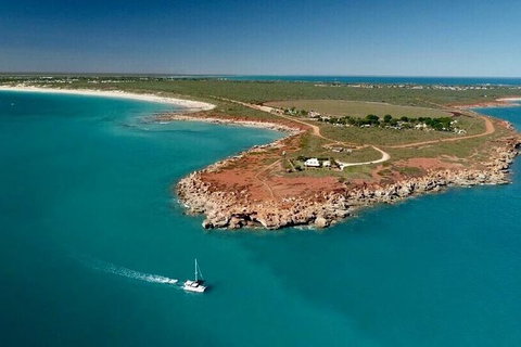 Snubfin Dolphin Eco Cruise From Broome - Lismore Accommodation 7