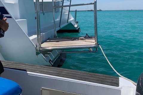 Snubfin Dolphin Eco Cruise From Broome - Lismore Accommodation 15