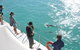 Snubfin Dolphin Eco Cruise From Broome - thumb 4