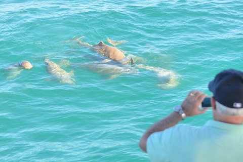 Snubfin Dolphin Eco Cruise From Broome - Lismore Accommodation 3