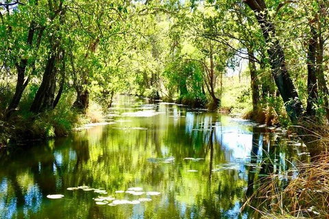 Gorgeous Gorges Tour - Windjana & Bell Gorge, Mt Hart, Cape Leveque - Lismore Accommodation 8