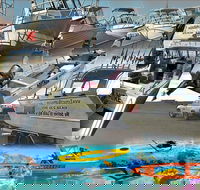 6-Metre Boat Renat Explore Exmouth's Ningaloo Reef - Lismore Accommodation
