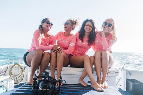 Swim With Whale Sharks- The Largest Fish In The World! - Lismore Accommodation 15