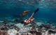 Swim With Whale Sharks- The Largest Fish In The World! - thumb 11