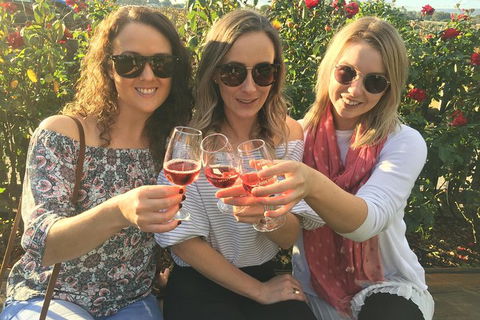 Half Day Swan Valley Wine Tour - Lismore Accommodation 0