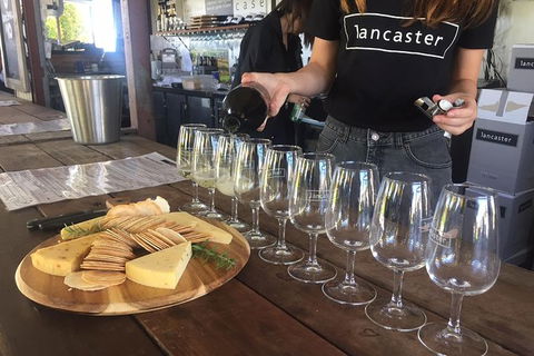 Half Day Swan Valley Wine Tour - Lismore Accommodation 5