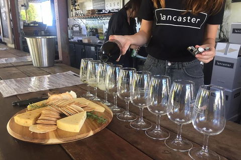 Half Day Swan Valley Wine Tour - Lismore Accommodation 8