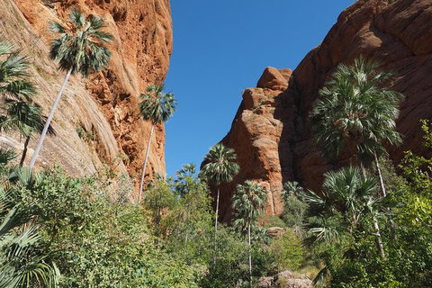 13-Day Kimberley Walking Tour Including Spectacular Gorges The Gibb River Road And The Bungle Bungles - Lismore Accommodation 6