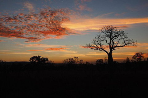 13-Day Kimberley Walking Tour Including Spectacular Gorges The Gibb River Road And The Bungle Bungles - Lismore Accommodation 4