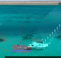 Whale Shark Swim by Catamaran in Shoulder Season - Lismore Accommodation