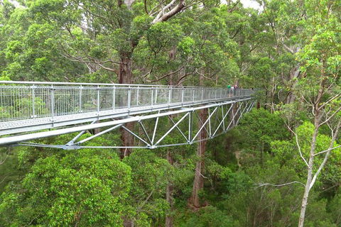 Albany Southwest Wilderness Day Tour - Fly From Perth - Lismore Accommodation 0