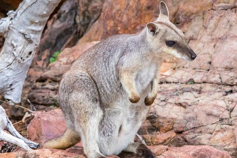 Lake Argyle Sunset Magic Cruise Departing Kununurra - Lismore Accommodation 3